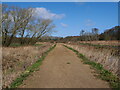 TG2931 : Path beside disused North Walsham& Dilham Canal by David Pashley