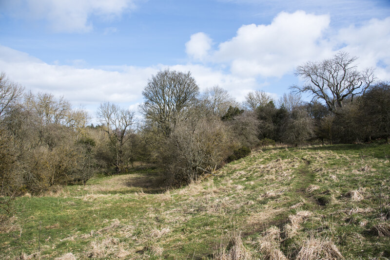 Open grassed area in woods © Trevor Littlewood :: Geograph Britain and ...