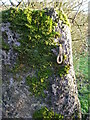 Stone gatepost and a hinge