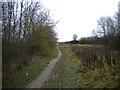 Public bridleway near Radmanthwaite (1)