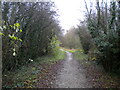 Public bridleway near Radmanthwaite (3)