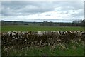 Fields beside Reynard Crag Lane