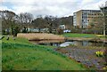 Ornamental lake at County Hall