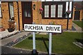 Fuchsia Drive off Summergroves Way, Hull