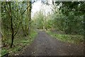 Path in Harlow Moor Woods