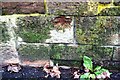 Benchmark on angled wall at North Street / Tweedie Terrace junction