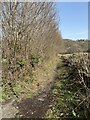 Footpath through countryside