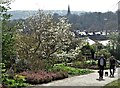 In Sheffield Botanical Gardens