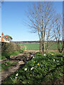 Countryside near Ipsden