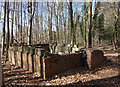 Derelict Building in the Woods