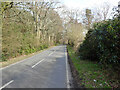 Forest Road towards Pease Pottage