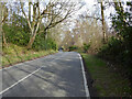 Forest Road towards Pease Pottage