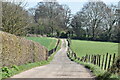 Track past Honeysuckle Lodge