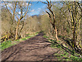 Track through Prestwich Clough