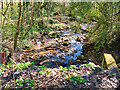 Deyne Brook, Prestwich Clough