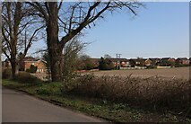 TL5056 : View from Hinton Road, Fulbourn by David Howard