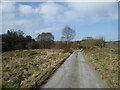 Rural track near The Bog