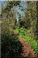 SX8962 : Path, Round Hill by Derek Harper