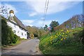 TL4238 : Springtime in May Street Great Chishill by Glyn Baker
