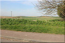 TL4038 : View from Picknage Corner, Barley by David Howard