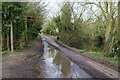 Pond & Icknield Way in Strethall