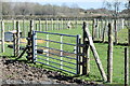 Gate and fences at Elm Farm