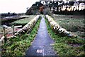 Footbridge over Old Mill Burn