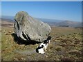 SH5962 : Glacial erratic boulder by Jonathan Wilkins