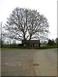 SO8742 : Earl's Croome, tree and village hall by Chris Allen