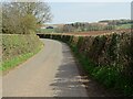 Country Road north of Upton Bishop