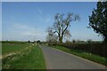 Road north of Howgrave Grange