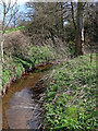 Penn Brook near Gospel End in Staffordshire