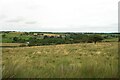 Grassland above Holen House Farm