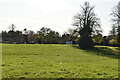 Pasture south of Saltwood Church