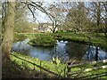 Pond and cottage in Gorsley