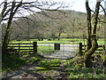 Gate into the valley pastures below Cefn Gunthly