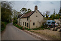 North Curry : Country Lane