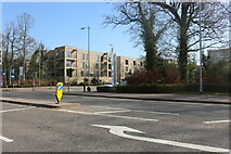 TL4555 : New flats by Long Road, Cambridge by David Howard