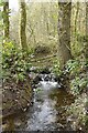 Stream over waterfall at the exit from Ashdod Pond