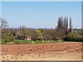 Over the fields to Pepwell Farm, Norchard