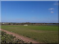 Looking towards an irrigation pool