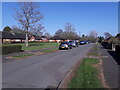 Looking along Greenfields Crescent