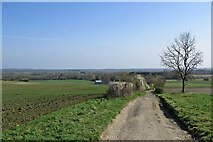 TL3552 : Down Wimpole Road to Great Eversden by John Sutton