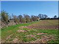 Field boundary off Lincomb Lane