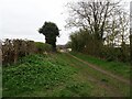 Farm Lane View