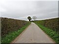 SO8294 : Wolmore Lane View by Gordon Griffiths