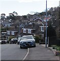 ST3090 : 20 on a Larch Grove lamppost, Malpas, Newport by Jaggery