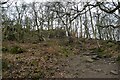 Overhanging rocks in the woods