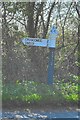 Direction Sign ? Signpost on old Frome Road, Masbury