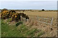 ND0468 : Arable fields at Bridge of Forss by Alan Reid
